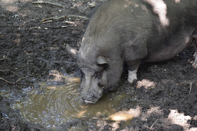 员以精准的 员以精准的