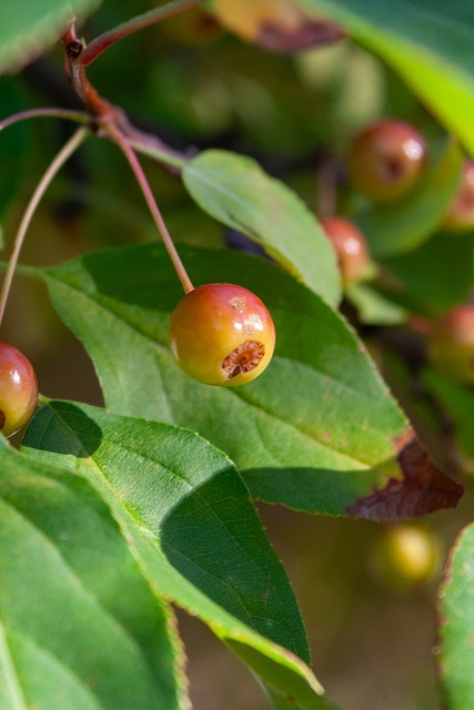 奉献了一场 奉献了一场