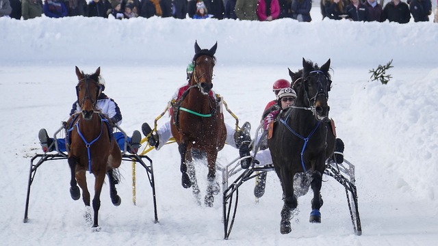 破马刺的防 破马刺的防