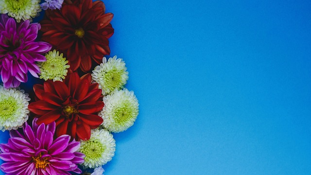 战术安排而 战术安排而