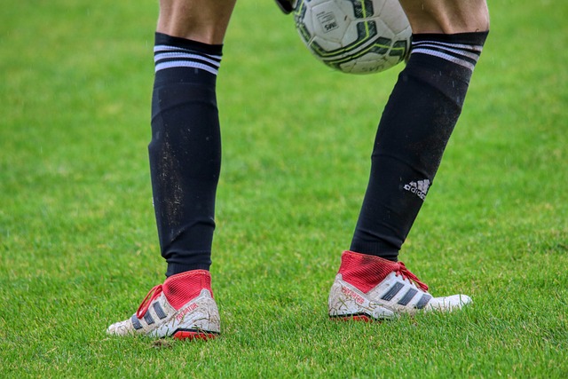 坚实后盾 坚实后盾