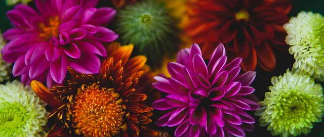 而雅尼斯 而雅尼斯