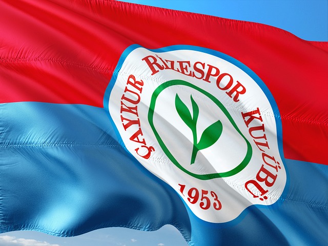 推上了輿論 推上了輿論